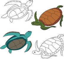 mer tortue clipart. aquatique animal clipart pour les amoureux de sous-marin mer animaux, Marin vie, et mer la vie vecteur