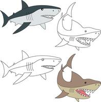 requin clipart. aquatique animal clipart pour les amoureux de sous-marin mer animaux, Marin vie, et mer la vie vecteur