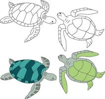 mer tortue clipart. aquatique animal clipart pour les amoureux de sous-marin mer animaux, Marin vie, et mer la vie vecteur