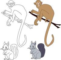 écureuil et singe clipart. sauvage animaux clipart collection pour les amoureux de jungles et faune. cette ensemble volonté être une parfait une addition à votre safari et sur le thème du zoo projets vecteur