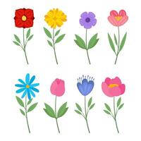 différent sauvage fleurs des illustrations ensemble collection de Prairie ou champ fleurs vecteur