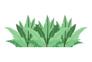 dessin animé plante feuilles feuillage buisson icône vecteur