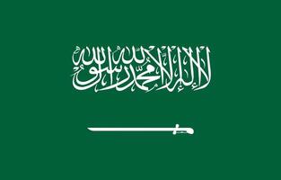 nationale drapeau de saoudien Saoudite. saoudien Saoudite drapeau. vecteur