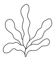 noir et blanc algues icône. en dessous de le mer ligne illustration avec mignonne varech. océan plante clipart. dessin animé sous-marin ou Marin agrafe art ou coloration page pour les enfants vecteur