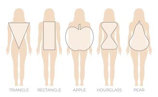 femme corps forme Triangle, rectangle, pomme, poire et Sablier vecteur