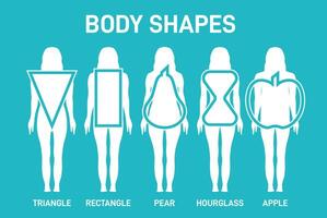 femme corps formes Triangle, rectangle, pomme, poire et Sablier vecteur