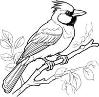 oiseau séance sur une branche. coloration livre anti stress pour les enfants et adultes vecteur