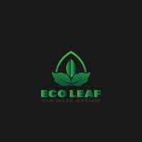 écofeuille, feuille verte logo vecteur