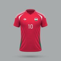 3d réaliste football Jersey Hongrie nationale équipe 2024 vecteur