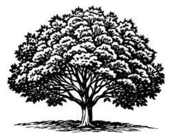 dessin d'illustration d'arbre vecteur