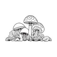 champignon et fleurs illustration vecteur