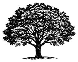 dessin d'illustration d'arbre vecteur