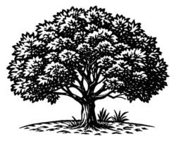 dessin d'illustration d'arbre vecteur