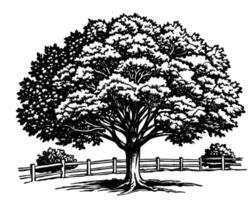 dessin d'illustration d'arbre vecteur