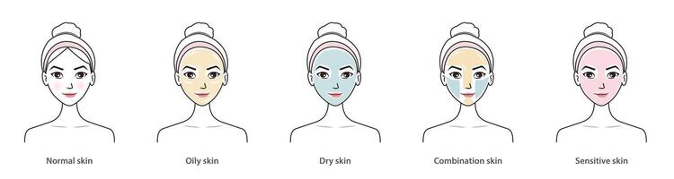 mignonne femme avec peau les types ensemble isolé sur blanc Contexte. différent de base les types de peau, normal, huileux, sec, combinaison et sensible peau. peau se soucier et beauté concept illustration. vecteur