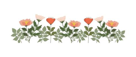coloré ancien printemps fleurs frontière, la nature floral modèle Cadre isolé sur blanc arrière-plan, botanique plat conception illustration vecteur
