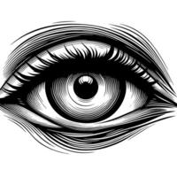 noir et blanc illustration de le Humain œil iris vecteur