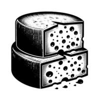 noir et blanc illustration de une traditionnel Suisse fromage vecteur