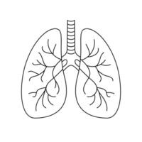 Humain poumons contour icône sur blanc Contexte vecteur
