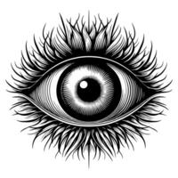 noir et blanc illustration de le Humain œil iris vecteur