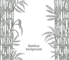 cadre fait de branches de bambou. croquis à l'encre sur fond blanc, gravé recto-verso. illustration vectorielle. vecteur