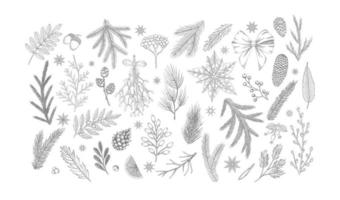 définir des plantes vectorielles de Noël, baies de houx, arbre de Noël, pin, branches de feuilles, décoration de vacances isolée sur fond blanc. vecteur