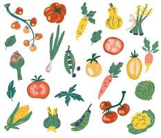 ensemble de légumes. nourriture saine végétarienne. végétalien, fermier, biologique, naturel. dessinés à la main de délicieux légumes frais isolés sur fond blanc. illustration vectorielle. vecteur