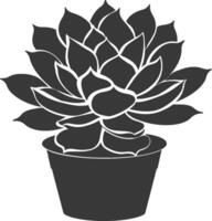 silhouette succulent plante noir Couleur seulement vecteur