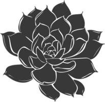 silhouette succulent plante noir Couleur seulement vecteur