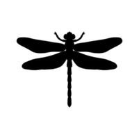 libellule noir et blanc silhouette illustration. noir et blanc réaliste main dessin de libellule insecte sur blanc Contexte vecteur