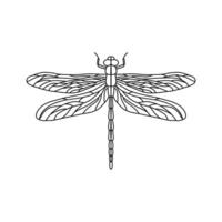 noir libellule signe symbole icône logo . libellule contour isolé libellule sur blanc Contexte vecteur
