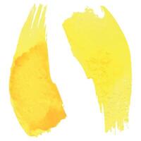 deux Jaune coups de aquarelle peindre. aquarelle illustration isolé objets.. pour le conception et décoration de une logo, affiche, carte postale, compositions, cadres, les frontières, tropical motifs, impressions. vecteur