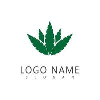 cannabis logo modèle symbole conception vecteur