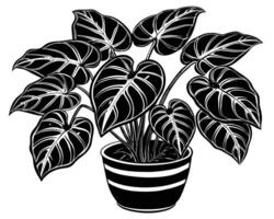 illustration d'une plante vecteur