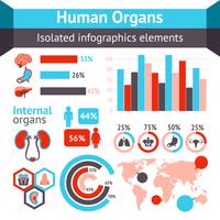 Organes humains infographiques vecteur