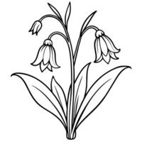 jacinthe des bois fleur plante contour illustration coloration livre page conception, jacinthe des bois fleur plante noir et blanc ligne art dessin coloration livre pages pour les enfants et adultes vecteur