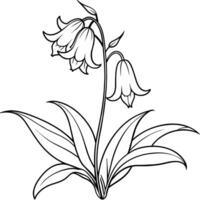 jacinthe des bois fleur plante contour illustration coloration livre page conception, jacinthe des bois fleur plante noir et blanc ligne art dessin coloration livre pages pour les enfants et adultes vecteur