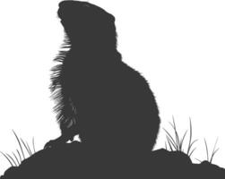 silhouette marmotte animal noir Couleur seulement plein corps vecteur