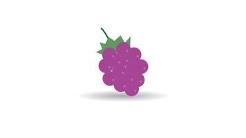 violet grain de raisin mignonne dessin animé, adapté pour coloration livre vecteur