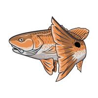 poisson rouge pêche illustration logo vecteur