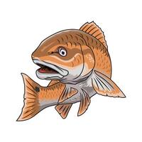 poisson rouge pêche illustration logo vecteur