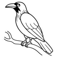 oiseau coloration livre page main dessiner illustration vecteur