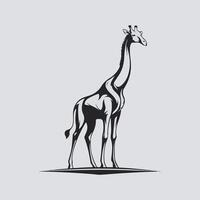 noir et blanc girafe vecteur