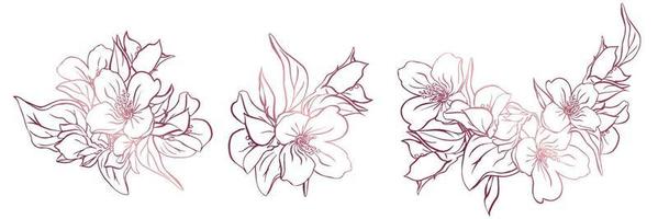 serti de 3 branches fleuries de jasmin. contour de fleurs isolé sur fond blanc. vecteur