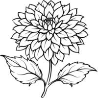 chrysanthème fleur plante contour illustration coloration livre page conception, chrysanthème fleur plante noir et blanc ligne art dessin coloration livre pages pour les enfants et adultes vecteur