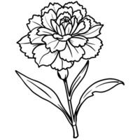 œillet fleur plante contour illustration coloration livre page conception, œillet fleur plante noir et blanc ligne art dessin coloration livre pages pour les enfants et adultes vecteur