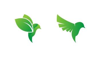 vecteur de conception de logo oiseau nature