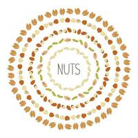 cadres vectoriels avec noix de cajou, pistache, arachide, noisette, noix, châtaigne, amande. élément alimentaire végétalien sain. couronne de noix en style doodle ou dessin animé vecteur