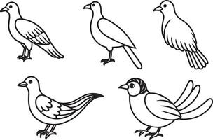 ensemble de main tiré griffonnage pigeons. illustration. vecteur