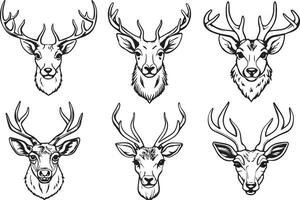 cerf. mascotte modèles.illustration dans blanc backgound vecteur